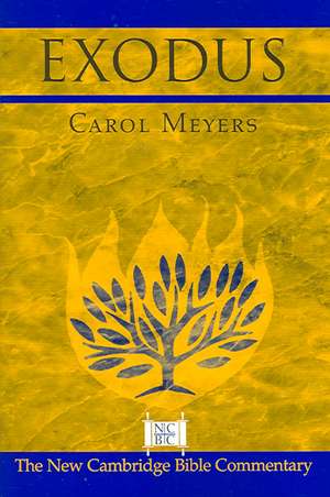 Exodus de Carol Meyers