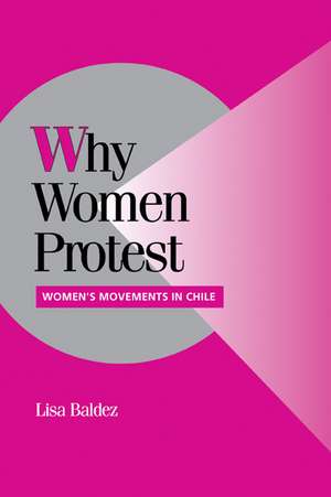 Why Women Protest: Women's Movements in Chile de Lisa Baldez