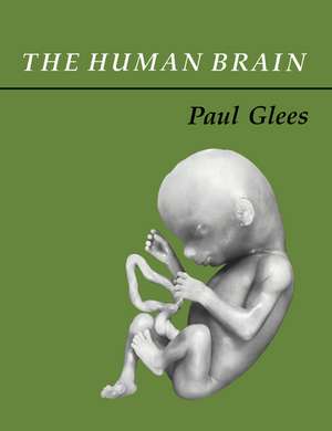 The Human Brain de Paul Glees