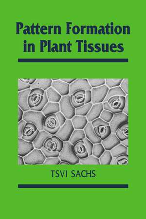 Pattern Formation in Plant Tissues de Tsvi Sachs