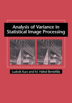 Analysis of Variance in Statistical Image Processing de Ludwik Kurz