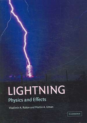 Lightning: Physics and Effects de Vladimir A. Rakov