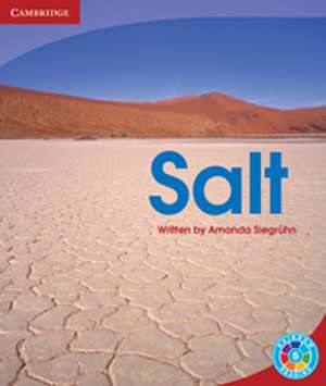 Salt: Landscape de Amanda Siegruhn