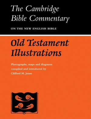 Old Testament Illustrations de Clifford M. Jones