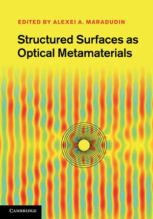 Structured Surfaces as Optical Metamaterials de Alexei A. Maradudin