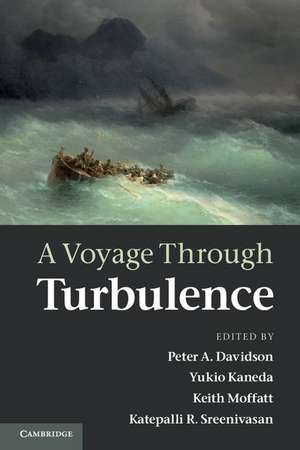 A Voyage Through Turbulence de Peter A. Davidson