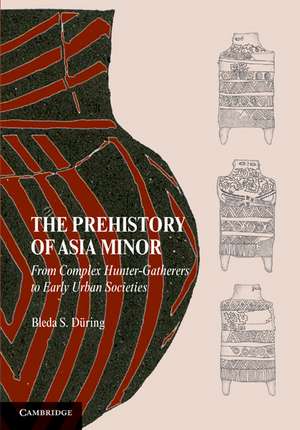 The Prehistory of Asia Minor: From Complex Hunter-Gatherers to Early Urban Societies de Bleda S. Düring