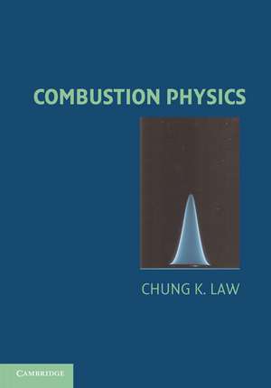 Combustion Physics de Chung K. Law