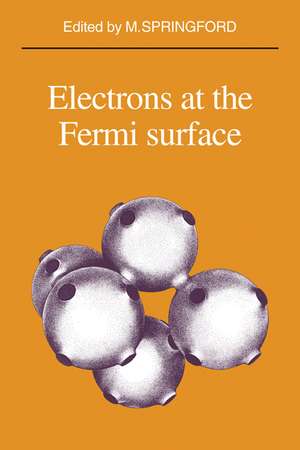 Electrons at the Fermi Surface de M. Springford