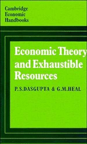 Economic Theory and Exhaustible Resources de P. S. Dasgupta