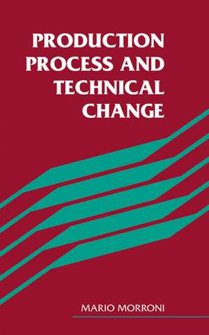 Production Process and Technical Change de Mario Morroni