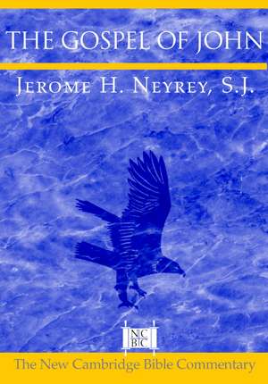 The Gospel of John de Jerome H. Neyrey