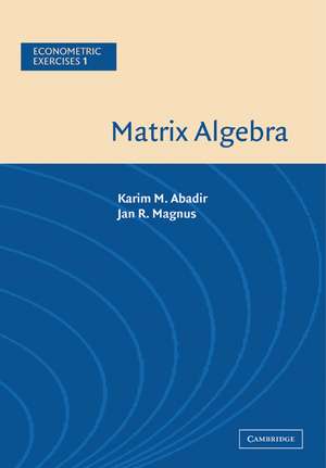 Matrix Algebra de Karim M. Abadir