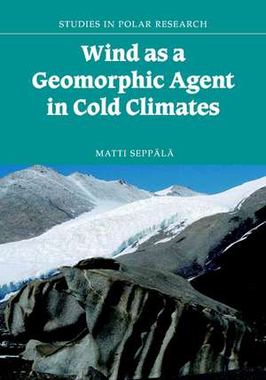 Wind as a Geomorphic Agent in Cold Climates de Matti Seppälä