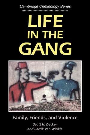 Life in the Gang: Family, Friends, and Violence de Scott H. Decker