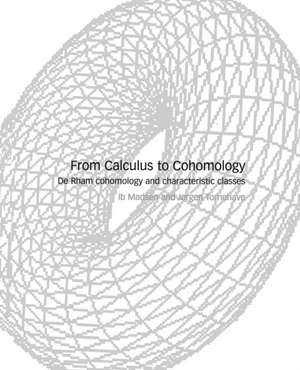 From Calculus to Cohomology: De Rham Cohomology and Characteristic Classes de Ib H. Madsen