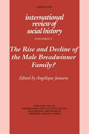 The Rise and Decline of the Male Breadwinner Family?: Studies in Gendered Patterns of Labour Division and Household Organisation de Angelique Janssens