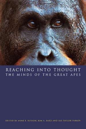 Reaching into Thought: The Minds of the Great Apes de Anne E. Russon