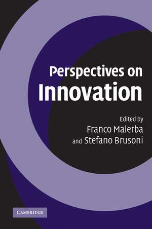 Perspectives on Innovation de Franco Malerba