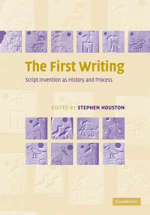 The First Writing: Script Invention as History and Process de Stephen D. Houston