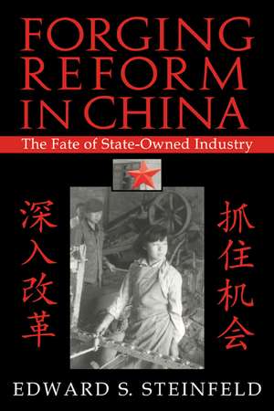 Forging Reform in China: The Fate of State-Owned Industry de Edward S. Steinfeld