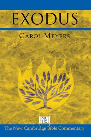 Exodus de Carol Meyers