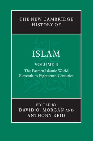 The New Cambridge History of Islam de David O. Morgan