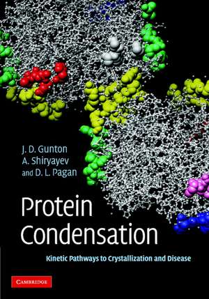 Protein Condensation de James D Gunton