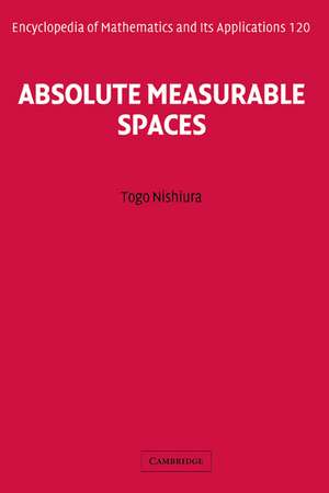 Absolute Measurable Spaces de Togo Nishiura