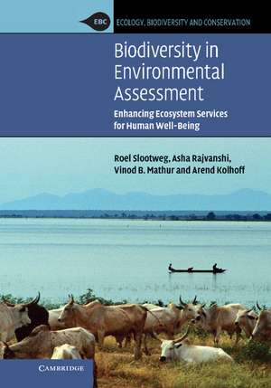 Biodiversity in Environmental Assessment: Enhancing Ecosystem Services for Human Well-Being de Roel Slootweg