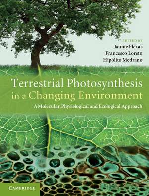 Terrestrial Photosynthesis in a Changing Environment: A Molecular, Physiological, and Ecological Approach de Jaume Flexas