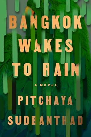 Bangkok Wakes to Rain de Pitchaya Sudbanthad