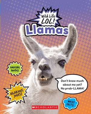 Llamas de Mara Grunbaum