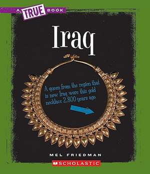 Iraq de Mel Friedman