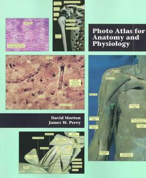 Photo Atlas for Anatomy and Physiology de David Morton