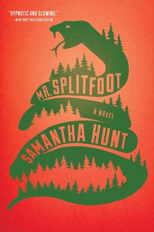 Mr. Splitfoot de Samantha Hunt