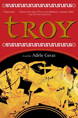 Troy de Adèle Geras