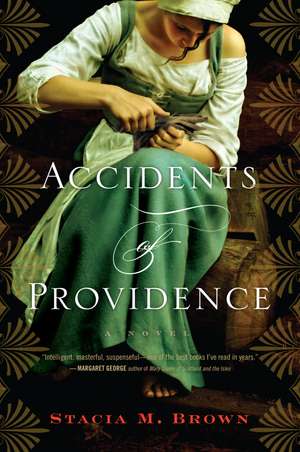 Accidents Of Providence de Stacia Brown