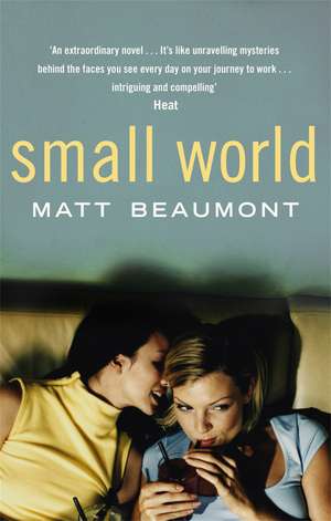 Small World de Matt Beaumont