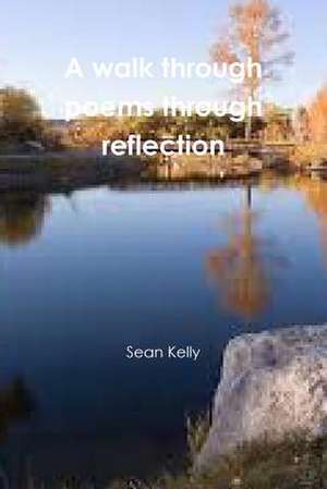 A Walk Through Poems Through Reflection de Sean Kelly