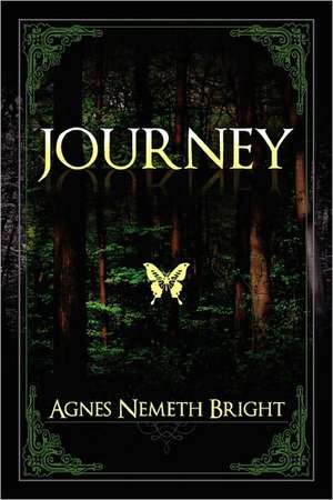 Journey de Agnes Nemeth Bright