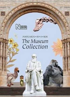 The Museum Collection: Postcards in a Box de Natural History Museum