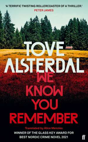 We Know You Remember de Tove Alsterdal
