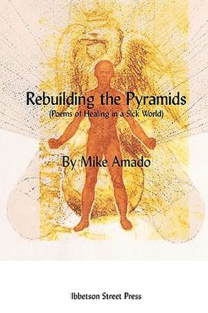 Rebuilding the Pyramids de Mike Amado