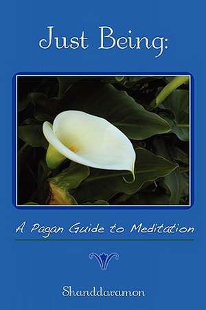 Just Being: A Pagan Guide to Meditation de Shanddaramon