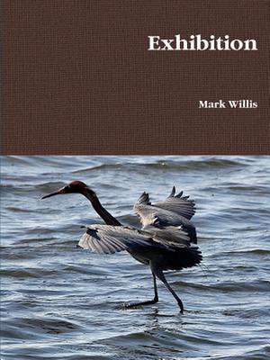 Exhibition de MARK WILLIS