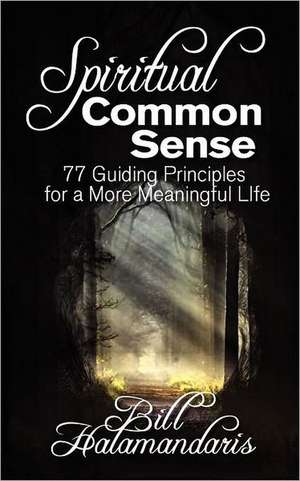 Spiritual Common Sense: 77 Guiding Principles for a More Meaningful Life de Bill Halamandaris