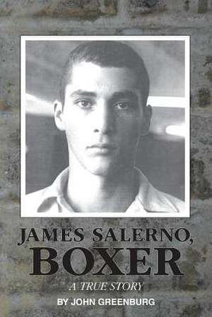 James Salerno, Boxer de John Greenburg