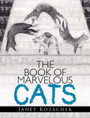 The Book of Marvelous Cats de Janet Kozachek