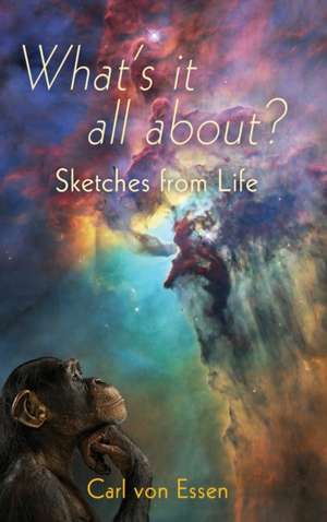 What's it all about? Sketches from Life de Carl François von Essen